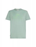 Mens Merino 150 Tech Lite SS Tee Rising Light, Moss